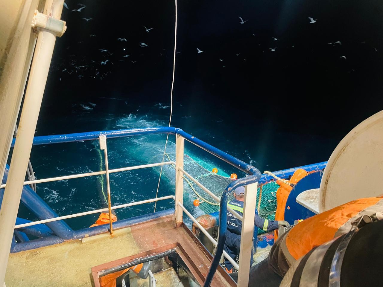 Xəzər dənizində balıq ehtiyatlarının qiymətləndirilməsi üzrə ekspedisiya yekunlaşıb - FOTOLAR